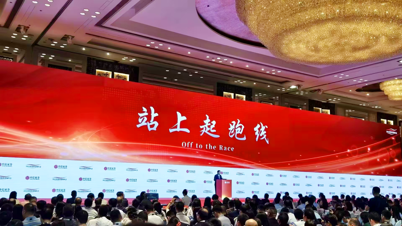 Analysis of the Effectiveness of Long-Term Holding and Dividend Reinvestment Strategies for Bank Stocks in the A-Share Market